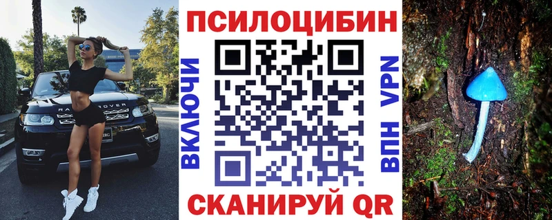 Купить  Топки  Галлюциногенные грибы Magic Shrooms 